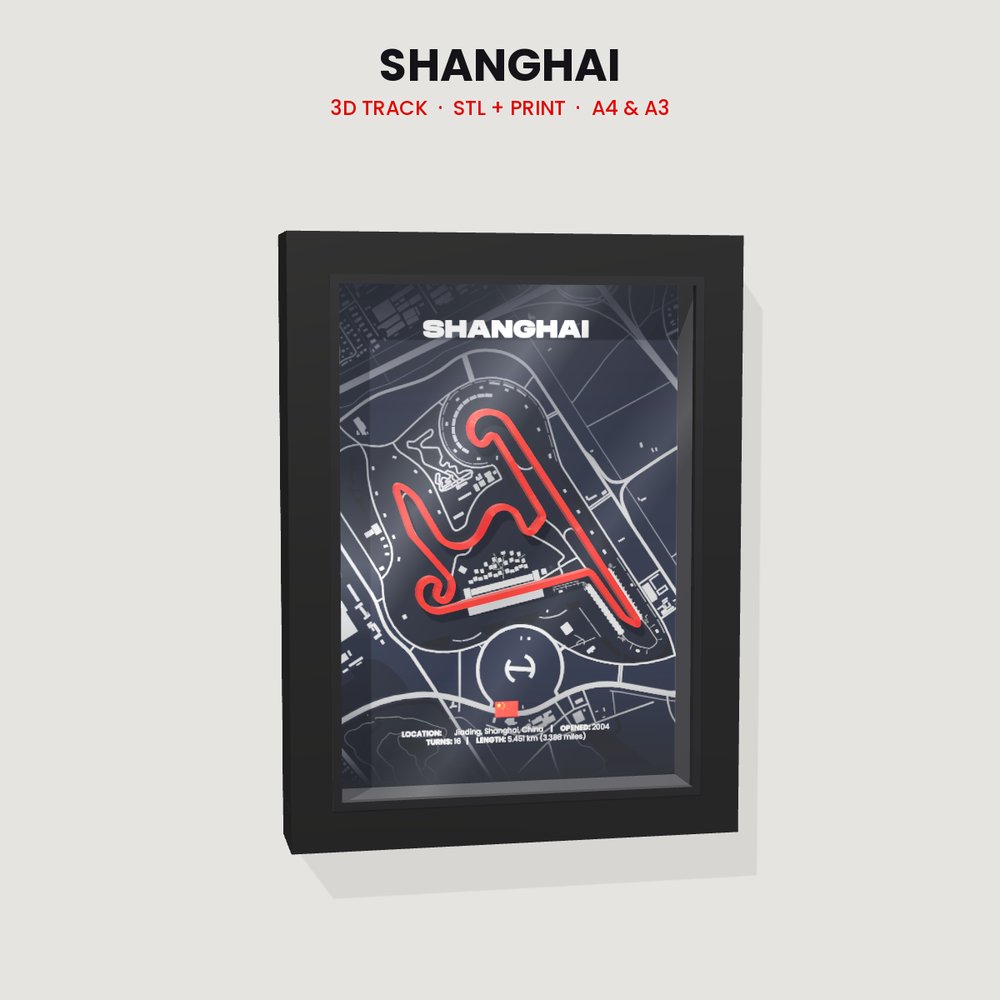 Shanghai 3D track in a black shadow box frame